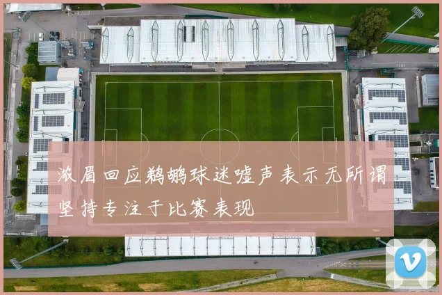 浓眉回应鹈鹕球迷嘘声表示无所谓坚持专注于比赛表现